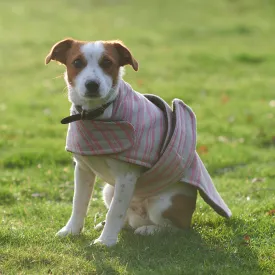 Rose Stripe Dog Coat